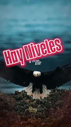 Hay niveles
