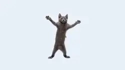 cats - living | 