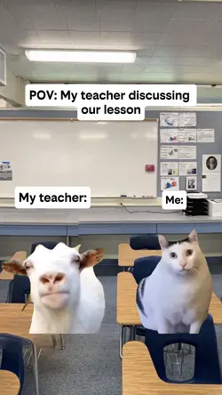 My teacher discussed