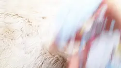 처음이자 