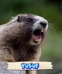 YUSUF