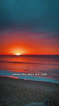 when the days