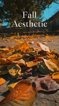 fall aesthetic