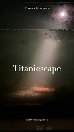 Titanic Aquascape 