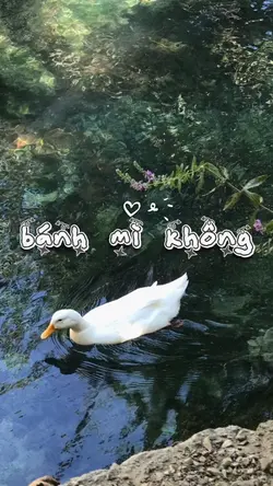 2PIC NHẸ NHÀNG