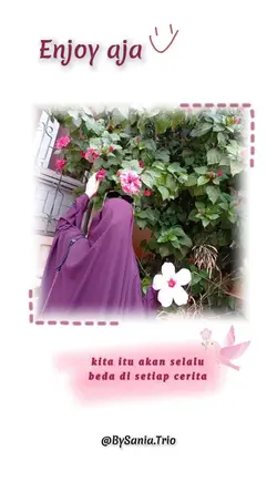Enjoy Aja 