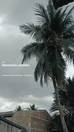 bergema sampai selam
