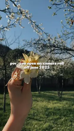 roll camera june