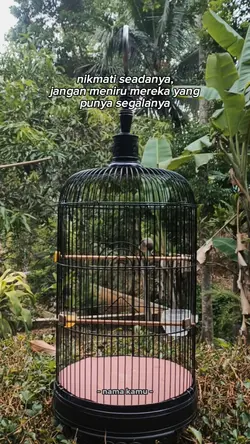 bahan story wa