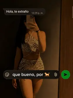 msj de WhatsApp 
