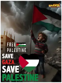 free free palsteen 