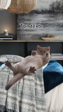 Chat dormeur