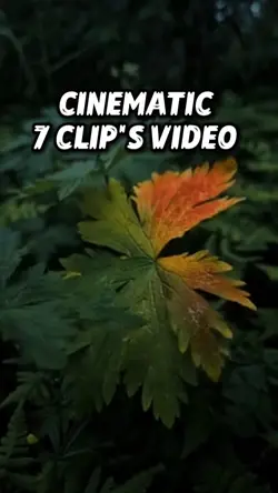 7 video Cinematic 