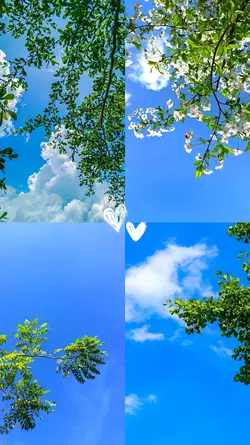 skyphoto