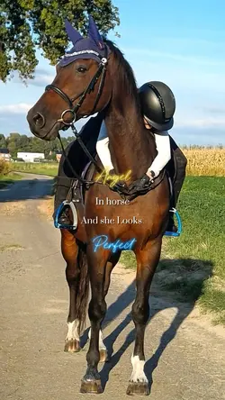 An Angel in Horse!💓🤞🏻
