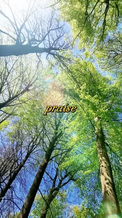 Praise