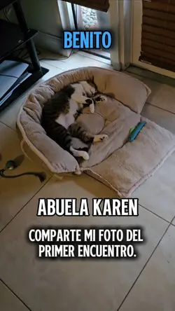 Como me encontraste