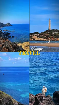 Travel dump