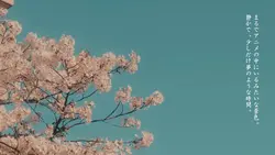 日本の映画