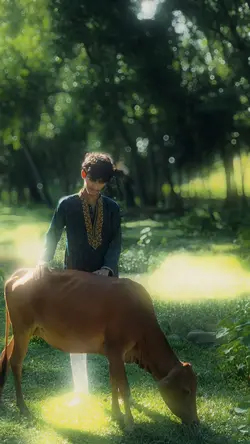 Krishna 🦚