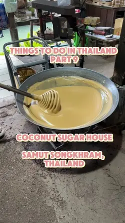 Coconut Thailand 