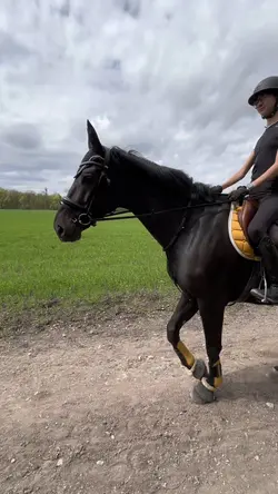 Trail ride🫶🏼