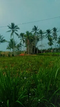 topeng palsu 