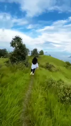 tren zoom out