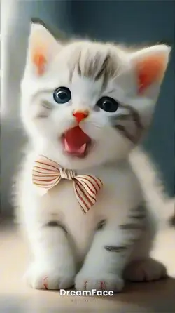 Cat sings 