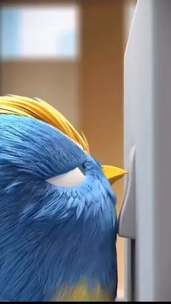 ANGRY BIRD?