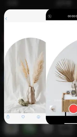 C2B Minimalist Flower Vase IG reels