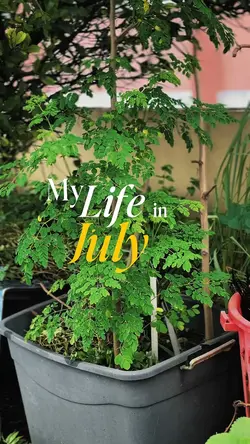July dump video