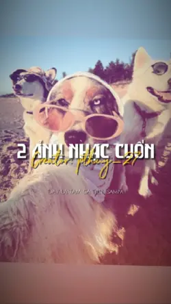 Đay là tam ca