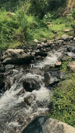 Therapy