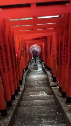 Japan vibes