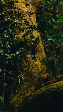 nature