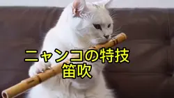 猫の特技笛吹