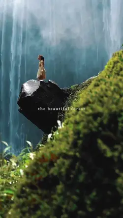 the beautiful forest
