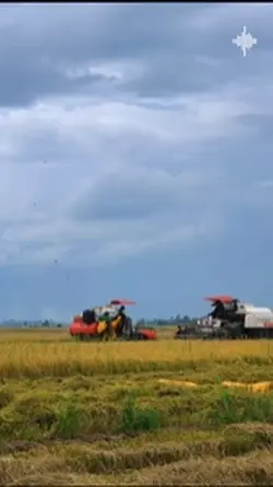Xin duyên cưới em