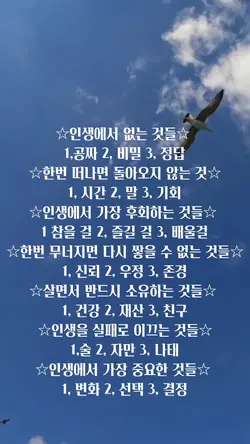 말을 가꾸면 행동이 바뀌고