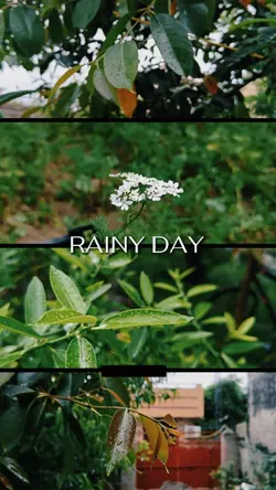 Rainy Day Vibes Song