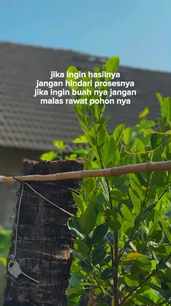 bahan sw