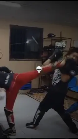 🥊