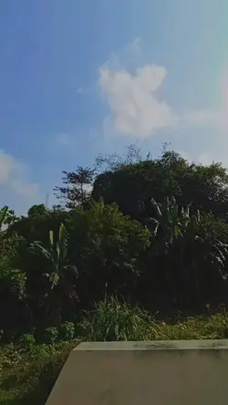 Swadikap Honda Wave