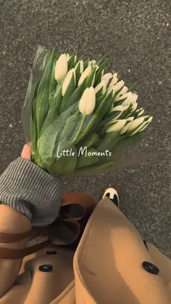 Mini vlog slow