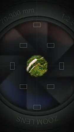 5 clip or photo 