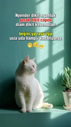status lucu