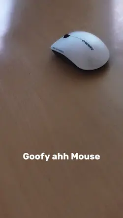 Goofy ahh mouse