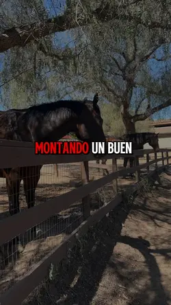 corridos