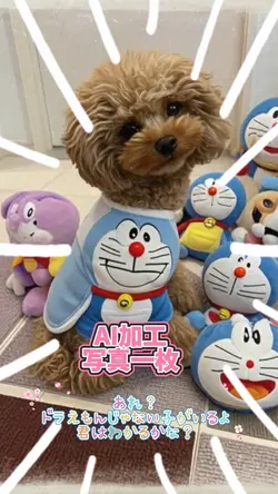あれ？君は分かるかな